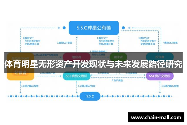 体育明星无形资产开发现状与未来发展路径研究